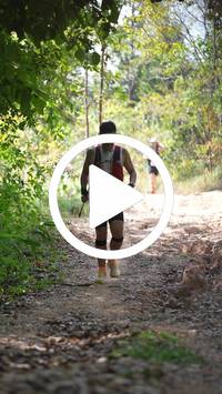 BIB:  <button type="button" onclick="openModal(27642994)" class="btn btn-primary btn-sm float-right" data-toggle="modal" data-target=".modal-high-quality">
                <i class="fa fa-download"></i> Download
                </button>